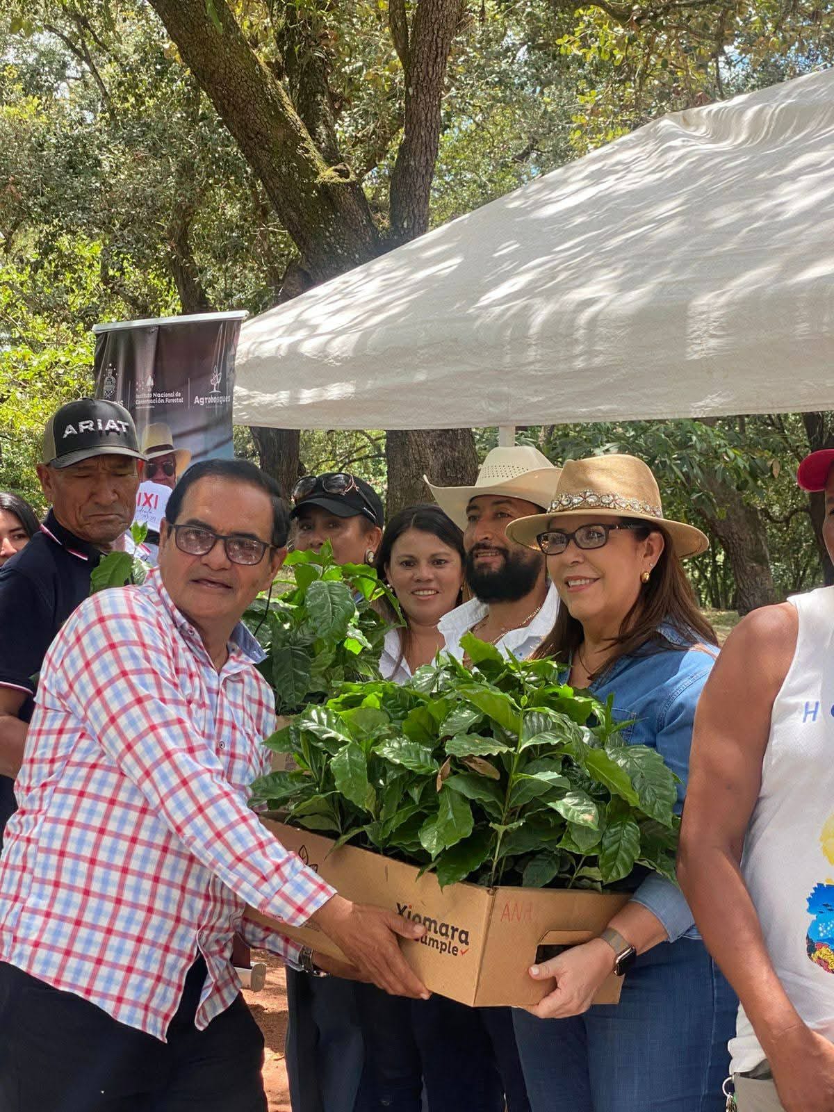 Proyecto Agrobosques avanza en Olancho